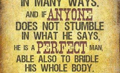 For we all stumble in many ways. And if anyone does not stumble in what he says, he is a perfect man, able also to bridle his whole body.