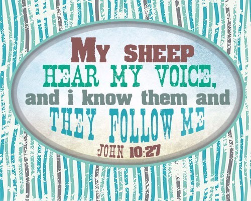 My sheep hear my voice, and I know them, and they follow me
