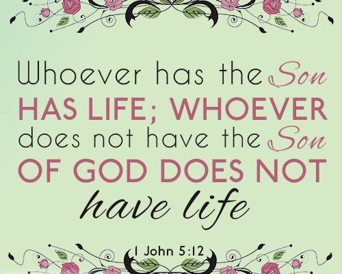 Whoever has the Son has life; whoever does not have the Son of God does not have life