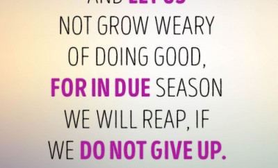 And let us not grow weary of doing good, for in due season we will reap, if we do not give up