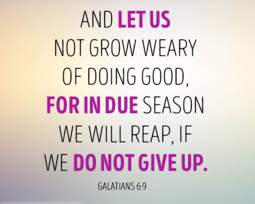 And let us not grow weary of doing good, for in due season we will reap, if we do not give up