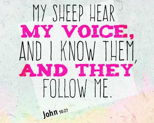 My sheep hear my voice, and I know them, and they follow me