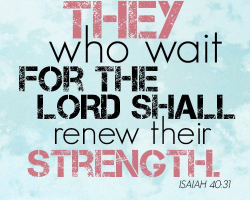 They who wait for the LORD shall renew their strength