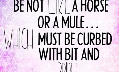 Be not like a horse or a mule…which must be curbed with bit and bridle