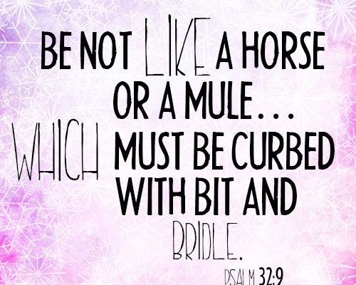 Be not like a horse or a mule…which must be curbed with bit and bridle