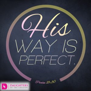 His way is perfect.