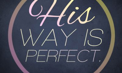 His way is perfect.