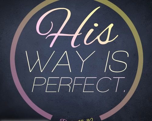 His way is perfect.