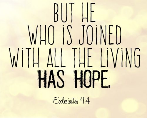 But he who is joined with all the living has hope
