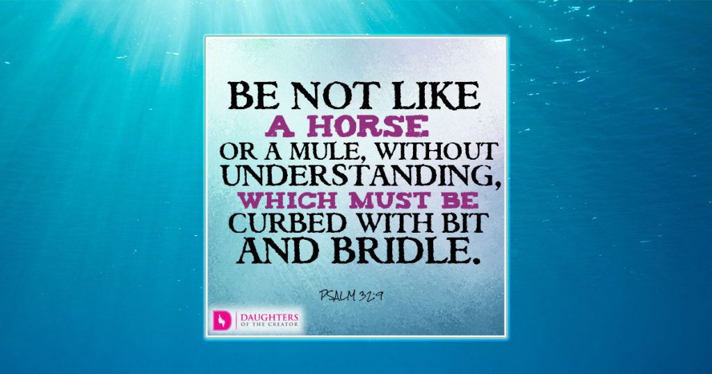 FB_Be not like a horse or a mule, without understanding, which must be curbed with bit and bridle