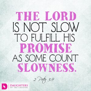 The Lord is not slow to fulfill his promise as some count slowness