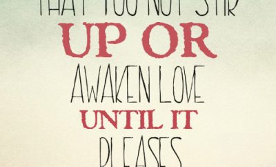 That you not stir up or awaken love until it pleases