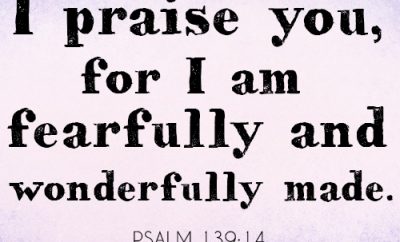 I praise you, for I am fearfully and wonderfully made