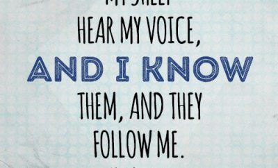 My sheep hear my voice, and I know them, and they follow me