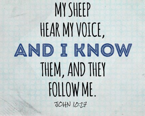My sheep hear my voice, and I know them, and they follow me