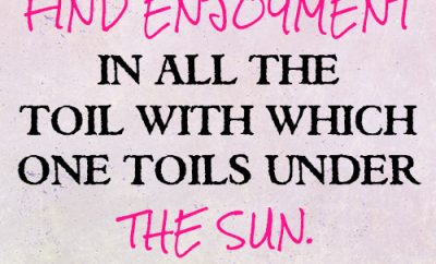 Find enjoyment in all the toil with which one toils under the sun