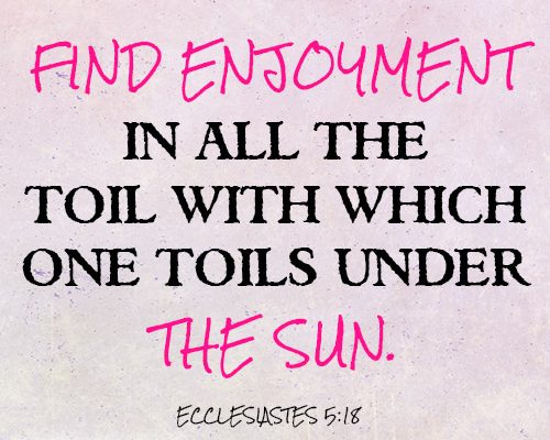 Find enjoyment in all the toil with which one toils under the sun