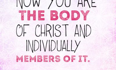 Now you are the body of Christ and individually members of it.